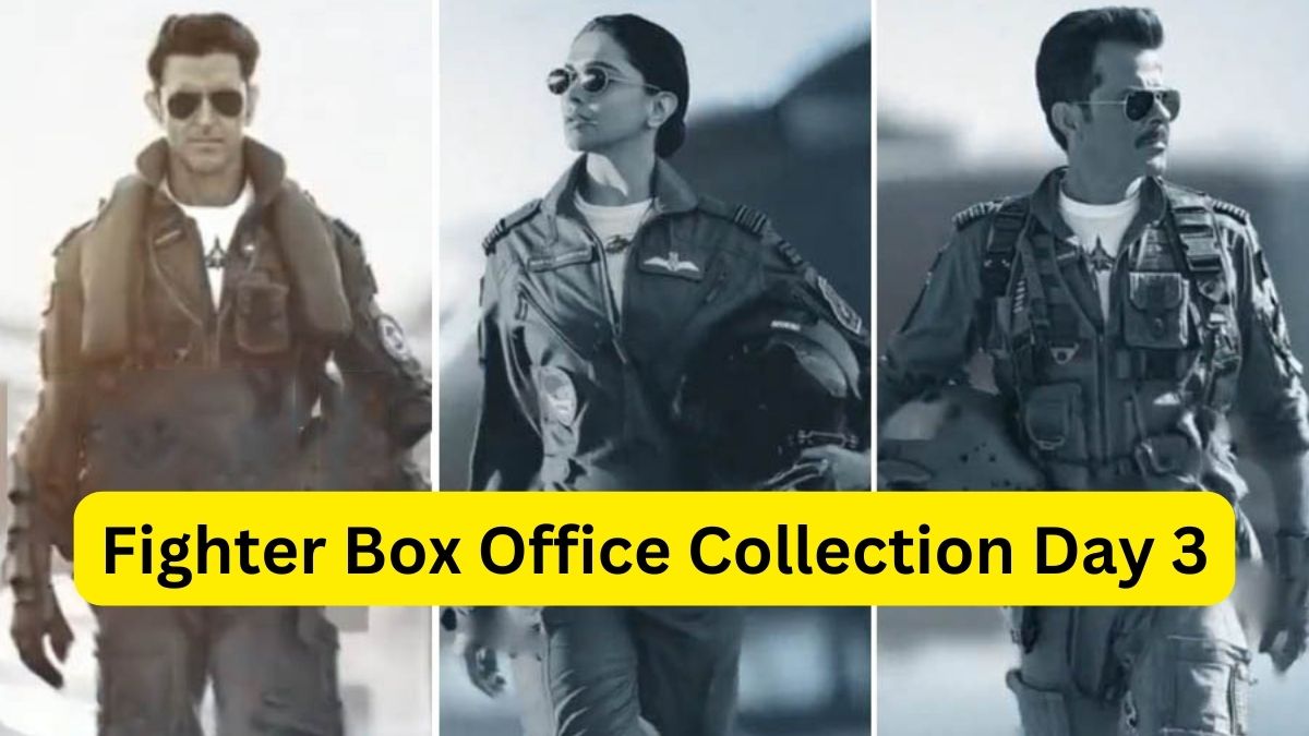 Fighter Box Office Collection Day 3